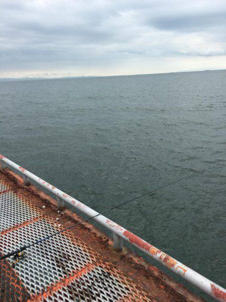 休みが出来たのでエギング 1人釣行